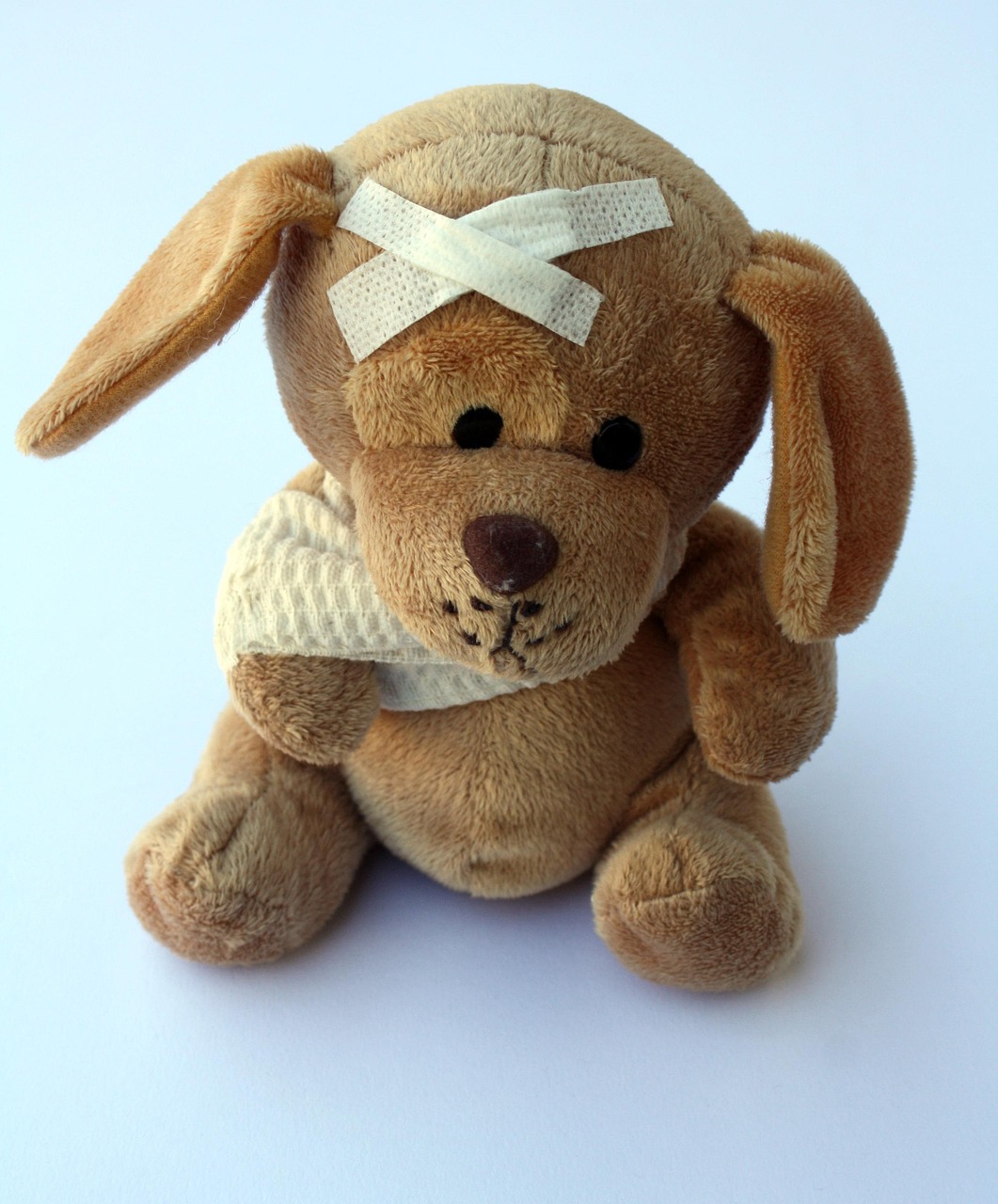 injury teddy 2