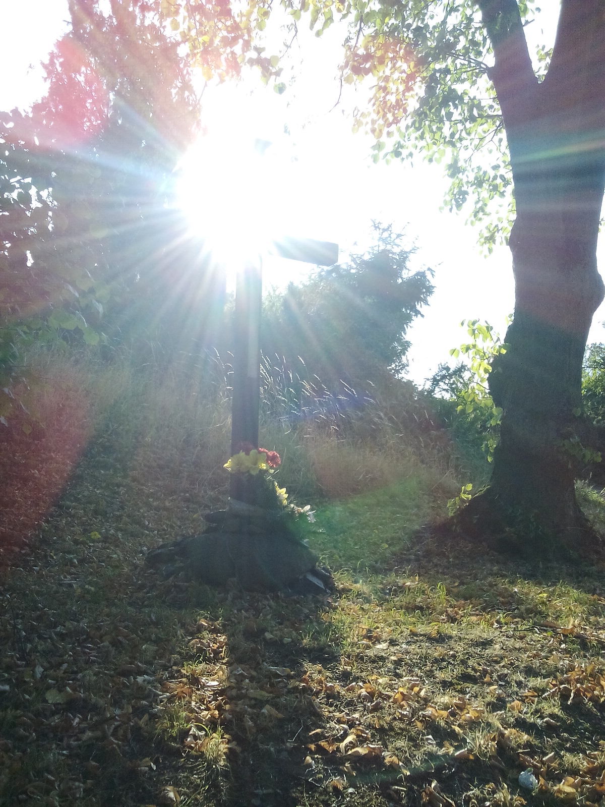 Cerne voderady - u rybnika2